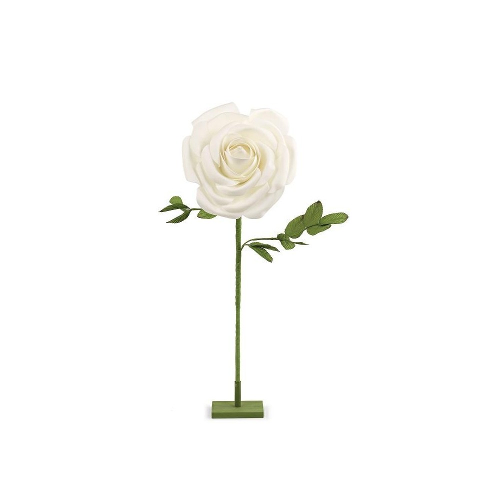 ROSA BIANCA CON STELO H77 D30